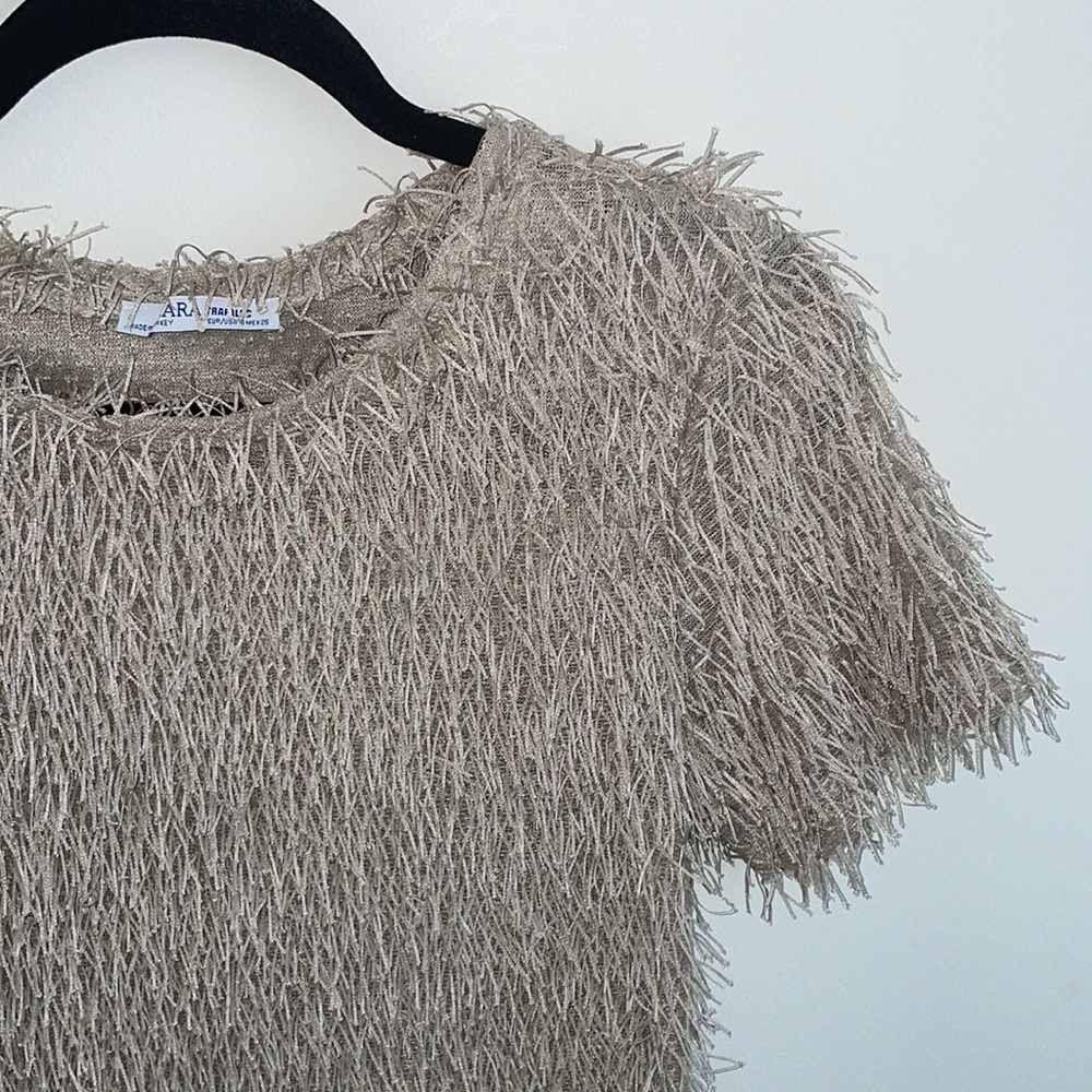 Zara Trafaluc Fringe Top